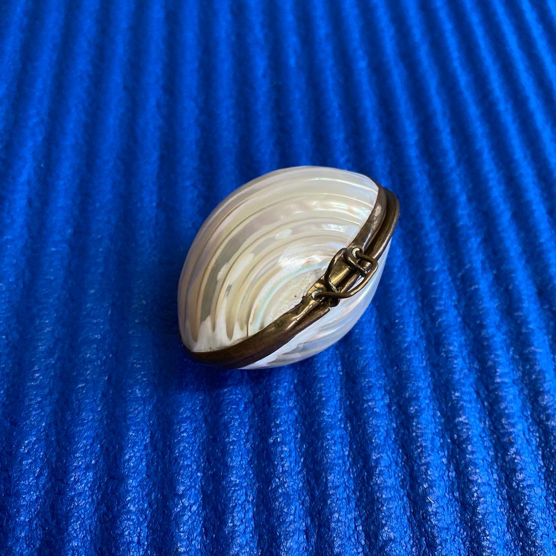 フランスアンティークマザーオブパール 白蝶貝 - メルカリ
