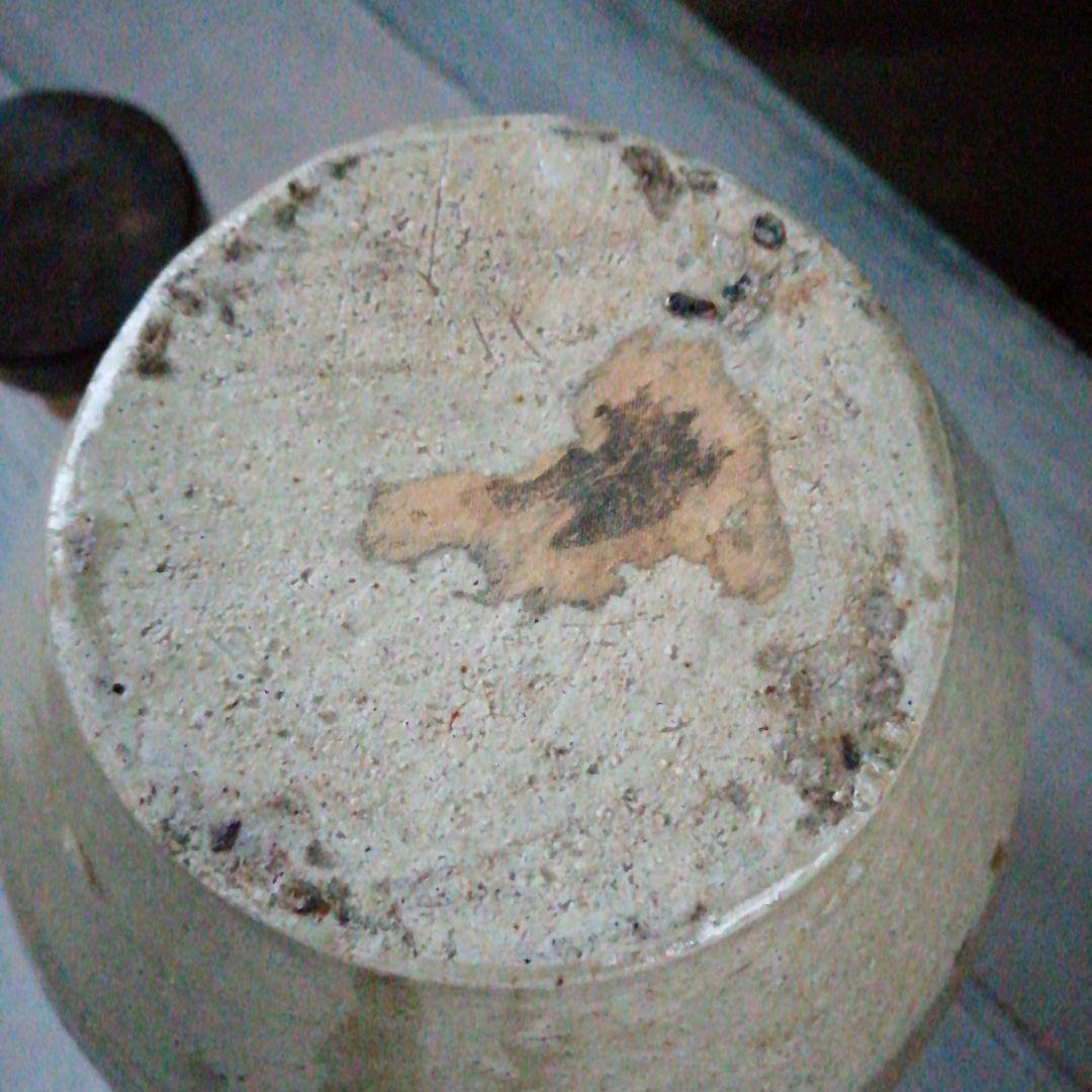 信楽焼 四耳茶壺 23cm 幕末〜明治期 - メルカリ