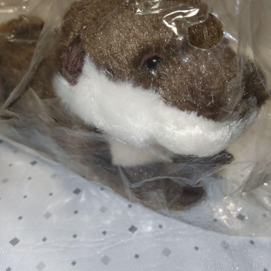 サンレモン カワウソ ぬいぐるみ