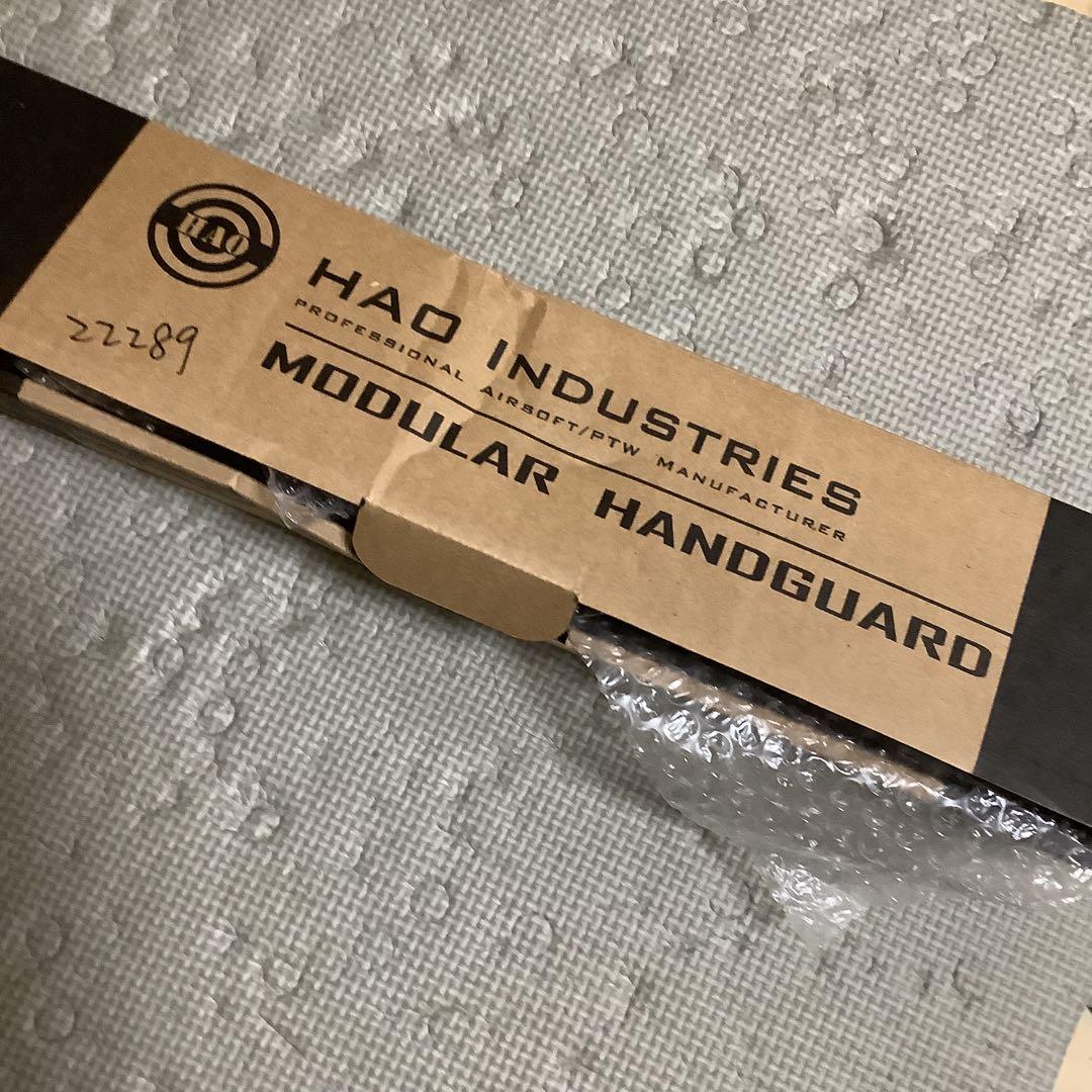 Hao Mws Geissele ガイズリー　10インチ　ハンドガード