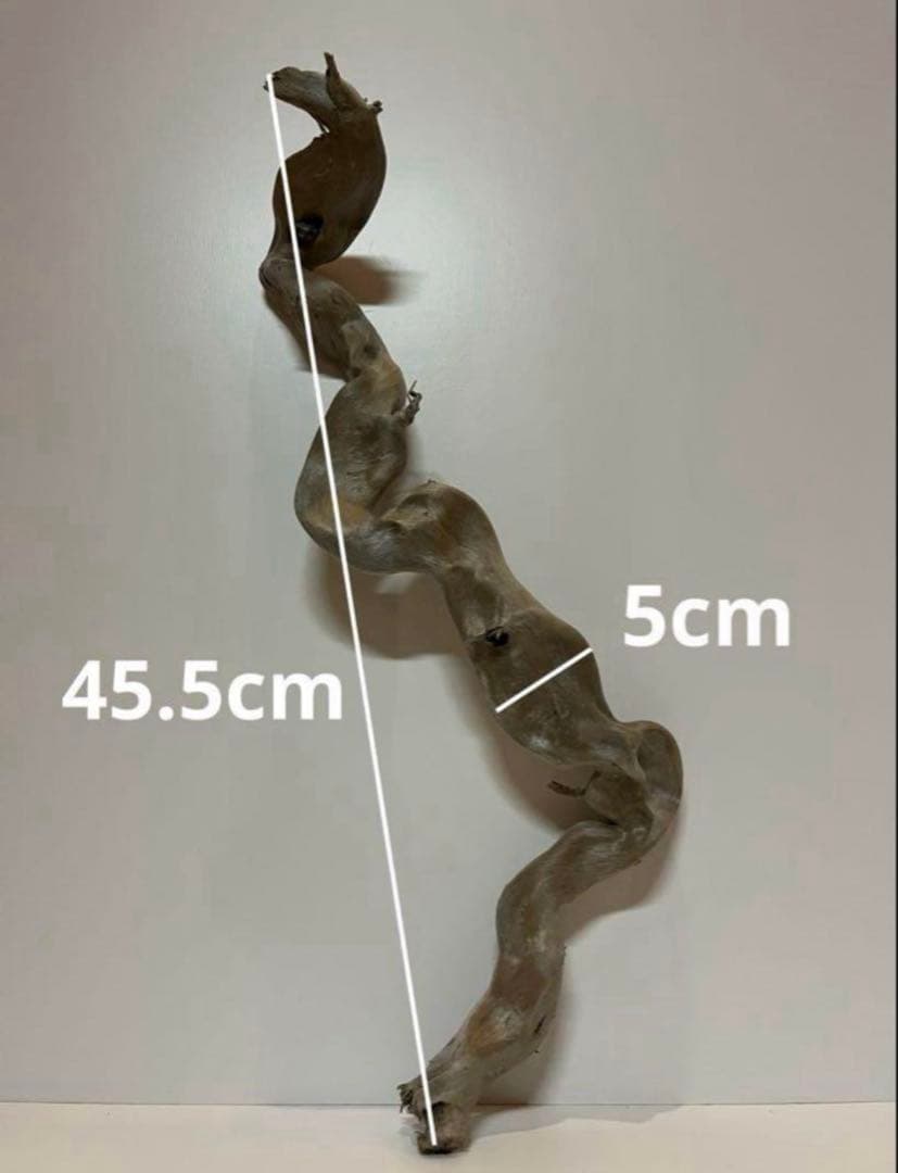 大型 流木【2129】