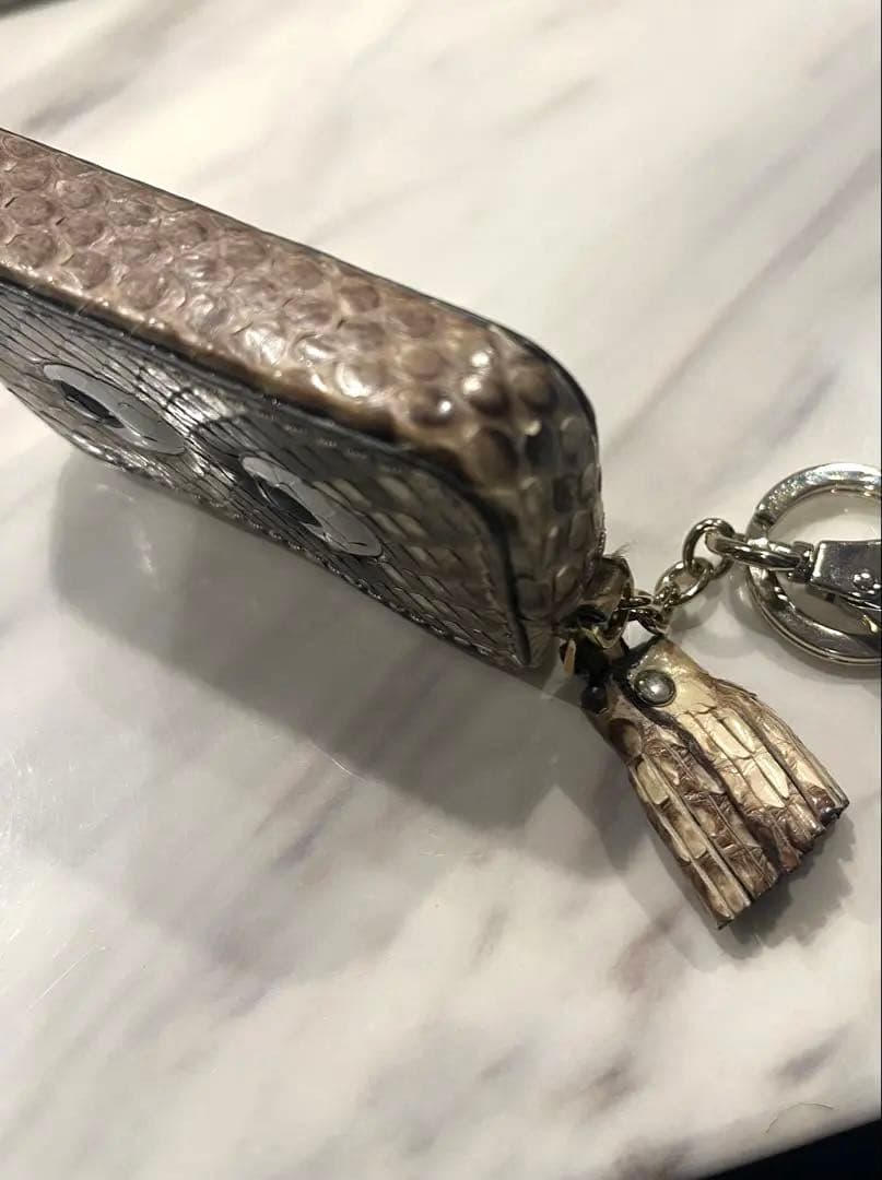 アニヤハインドマーチ　ケース