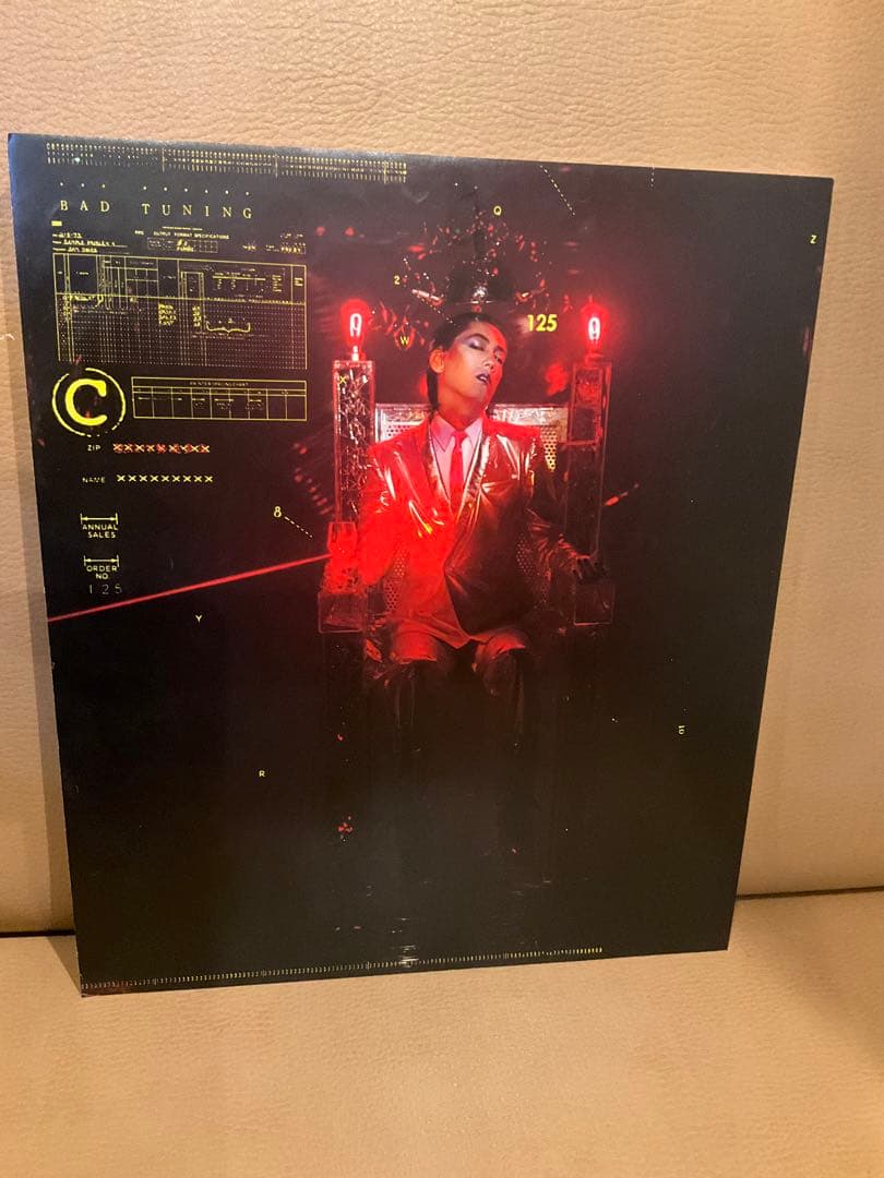 【当時物】　沢田研二　早川タケジ　薄型パネル　2枚組。