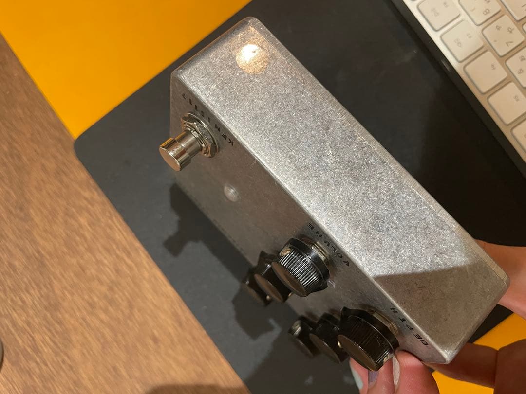 ギター Fairfield Circuitry Shallow Water