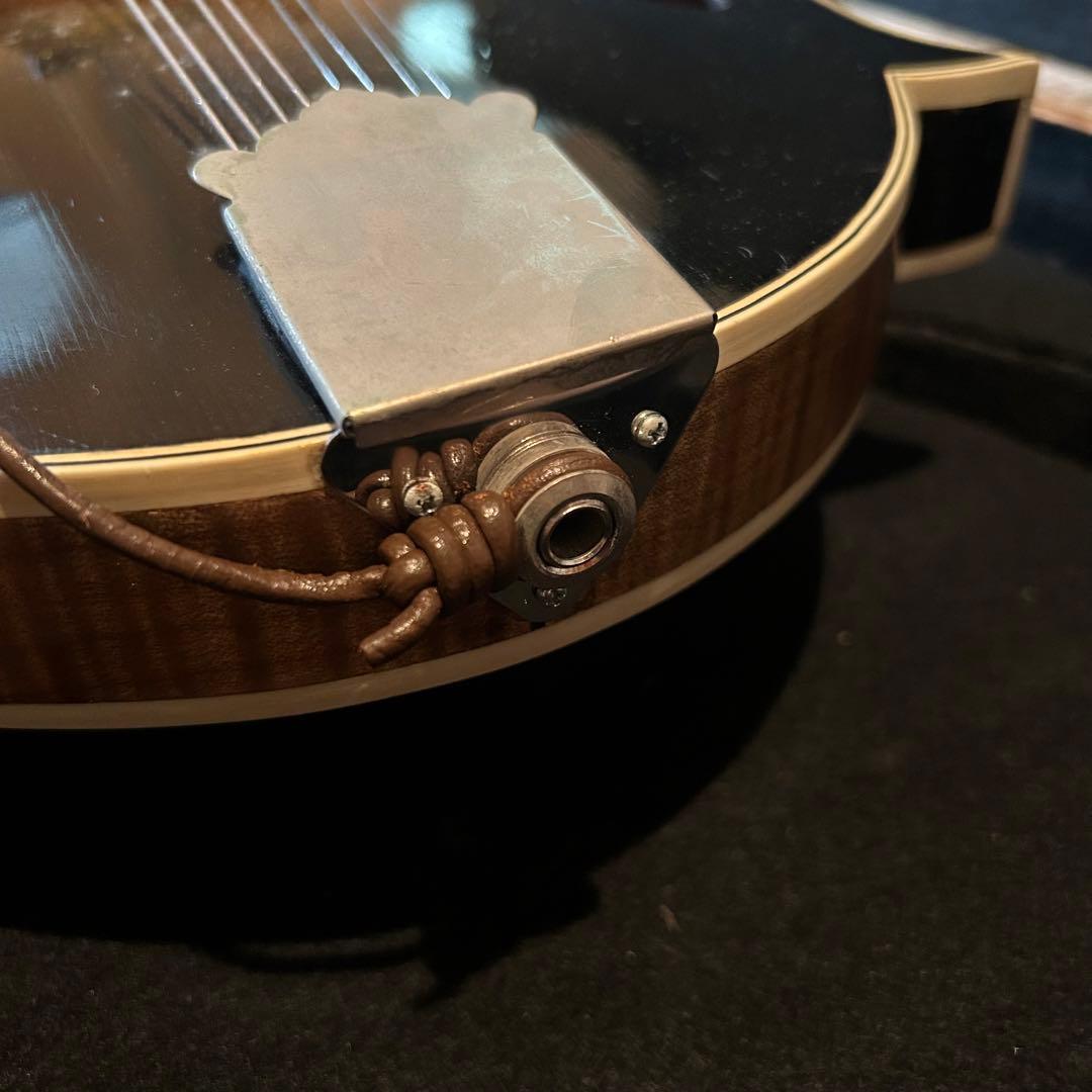 【希少】 junji fujioka フラット マンドリン ケース付