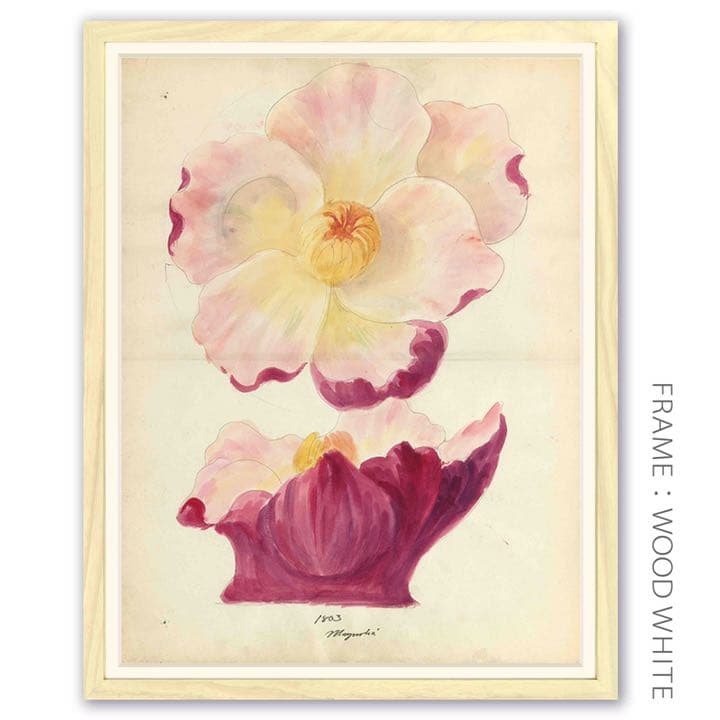 「モクレンの花柄のデザイン画」 【フレームサイズ 32×26cm】