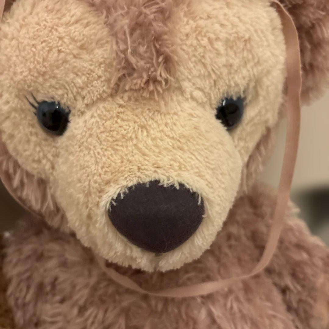 ダッフィー　シェリーメイ　 ぬいぐるみ2体セット