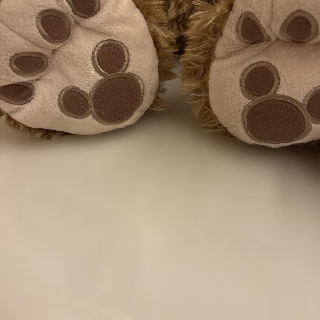 ダッフィー　シェリーメイ　 ぬいぐるみ2体セット