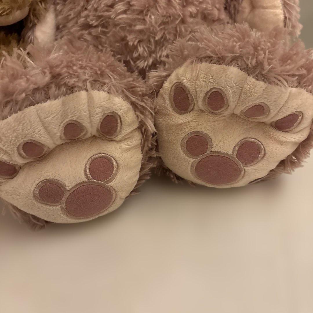 ダッフィー　シェリーメイ　 ぬいぐるみ2体セット