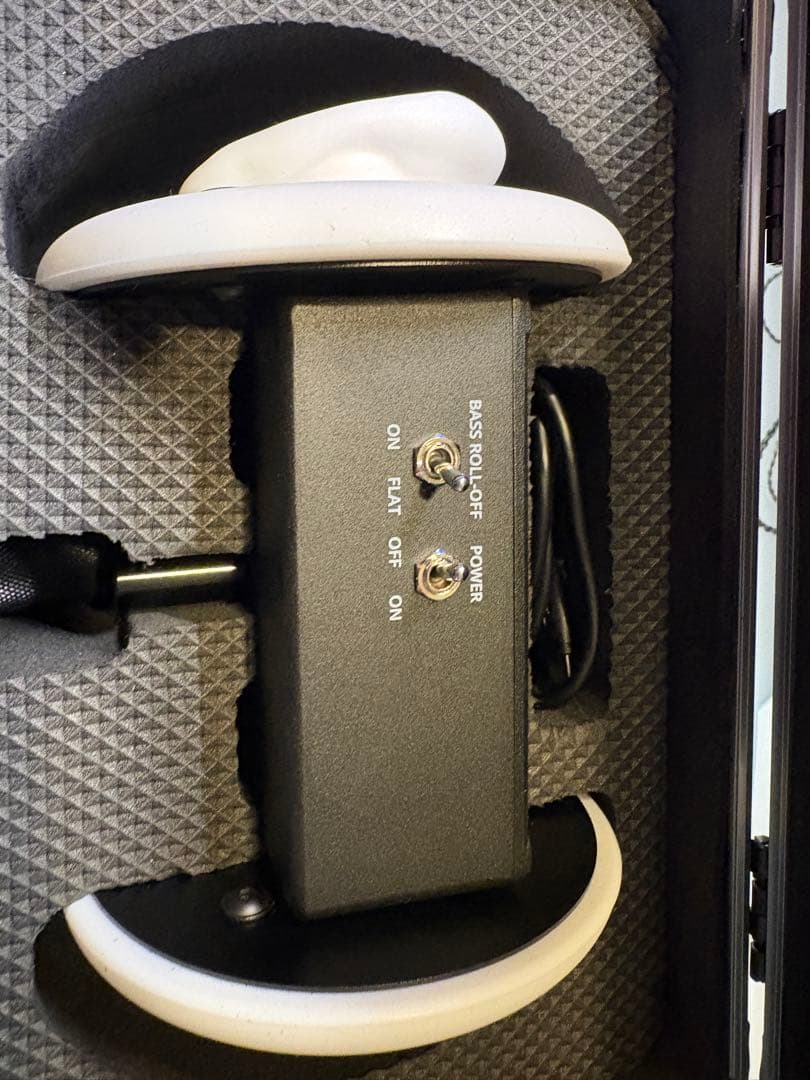 3DIO FS マイク ほぼ未使用