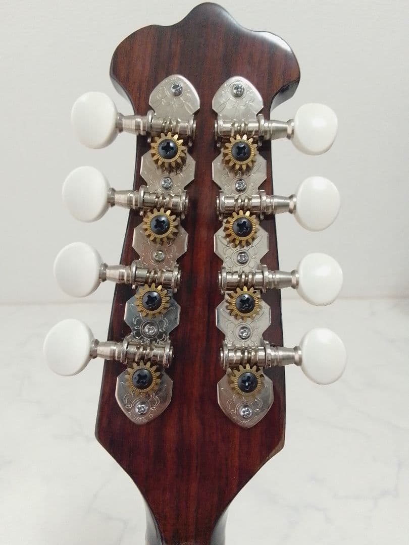 マンドリン 渡辺精次 No.70 Anno1995 Watanabe ケース付 - メルカリ