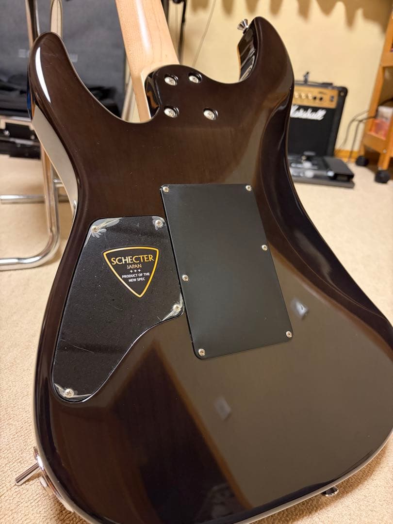 ギター Schecter NV3-24AL/STBK/M