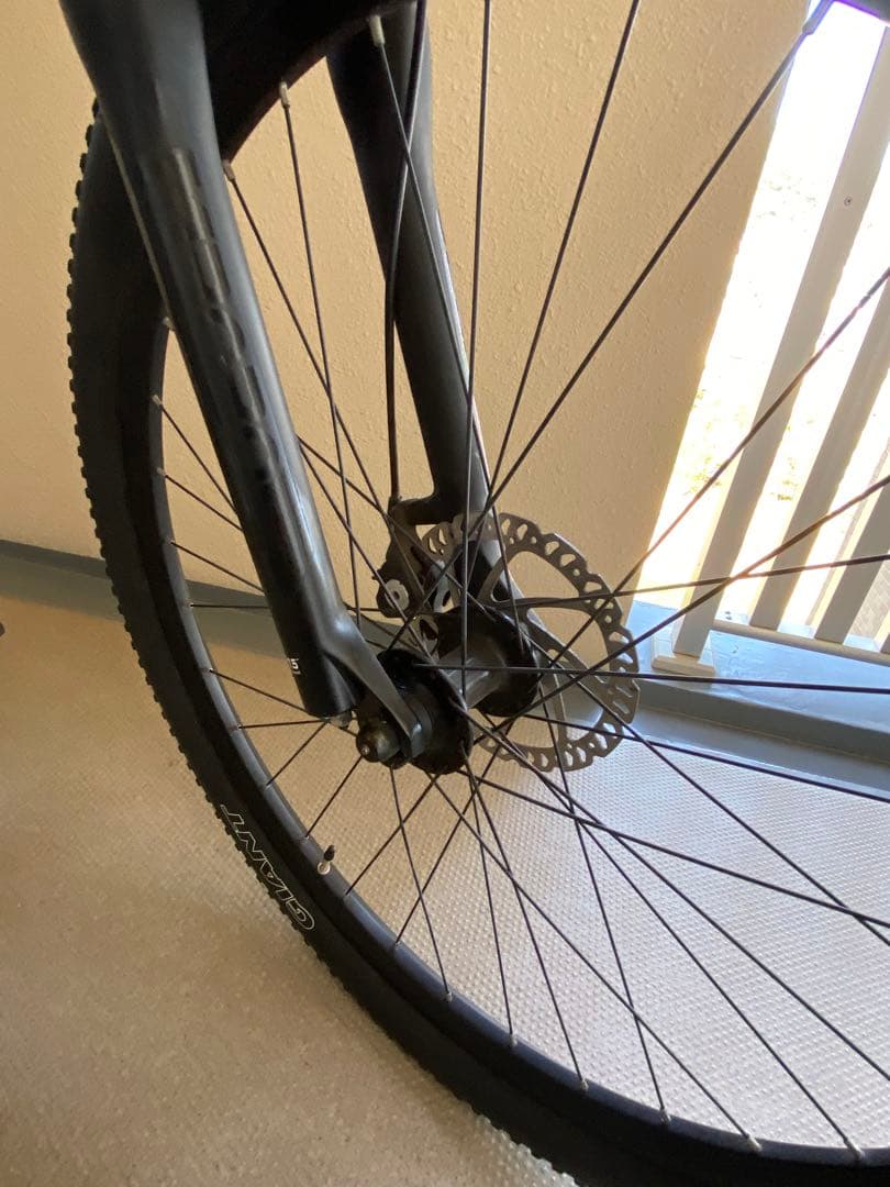 Aldrin Lucas様購入専用 マウンテンバイク GIANT ATX