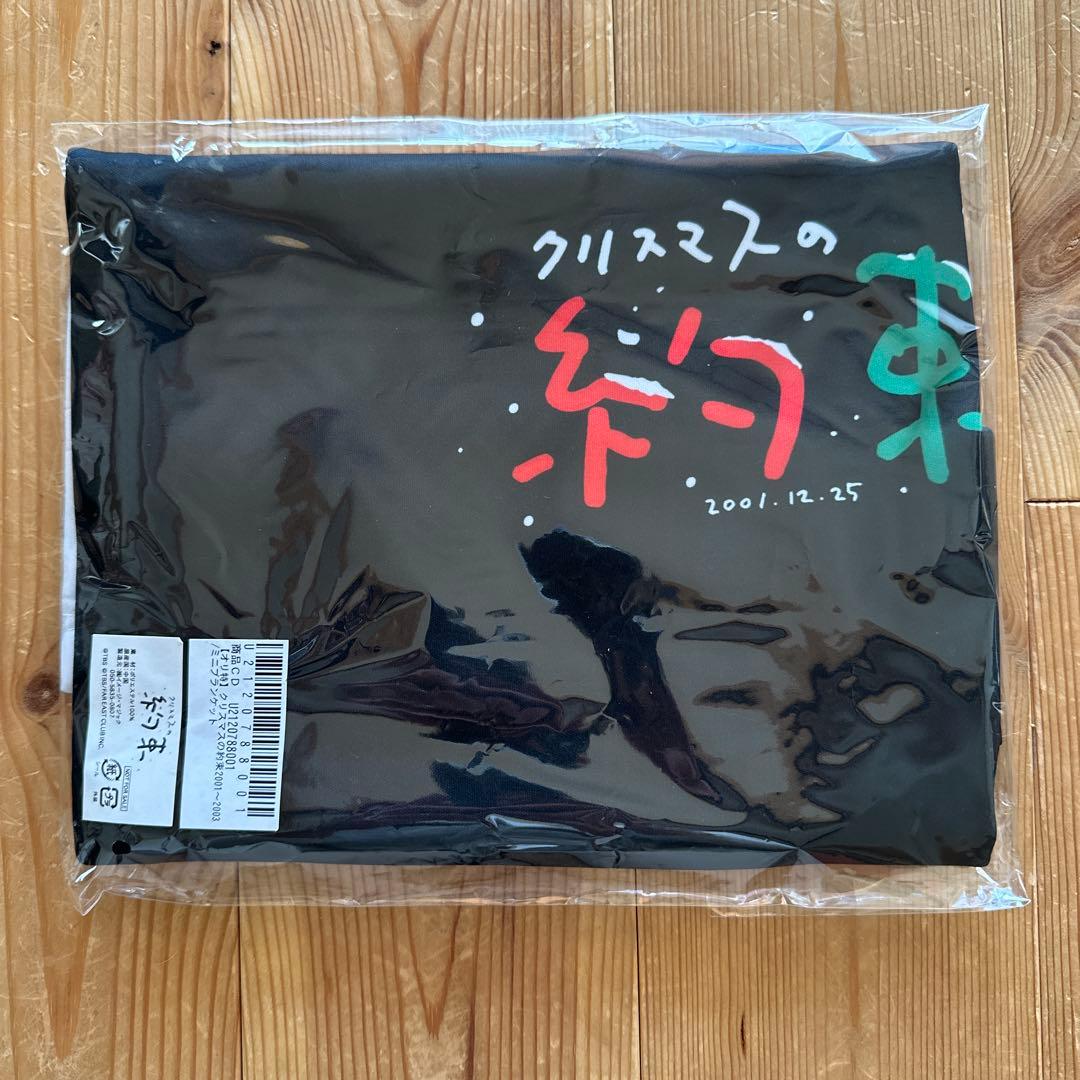 クリスマスの約束 ミニブランケット - メルカリ