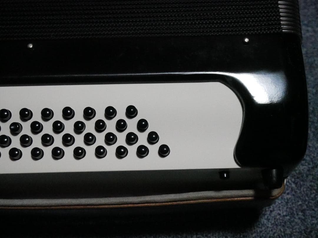 YAMAHA ヤマハ アコーディオン 48ベース キャリングケース付き