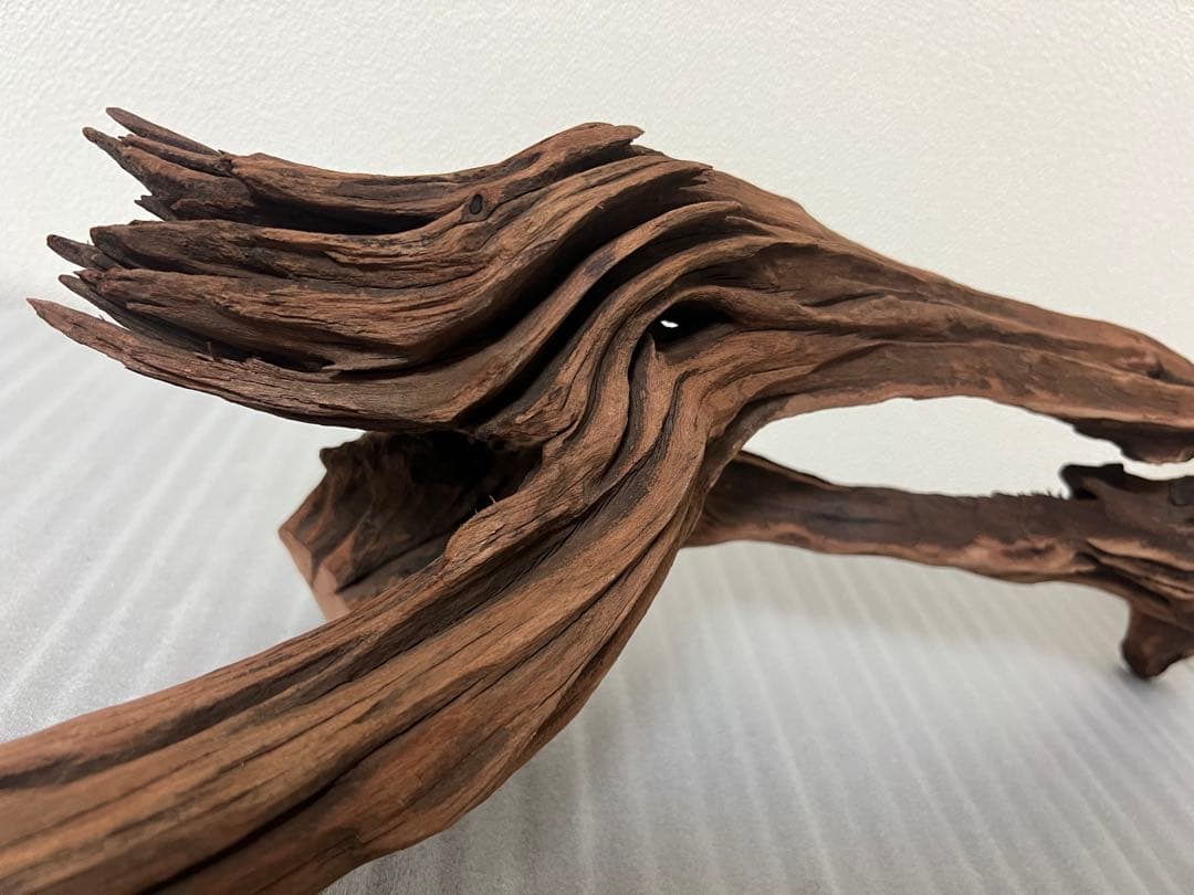 HX-081 流木 ホーンウッド マシンガンウッド アクアリウム ブランチ