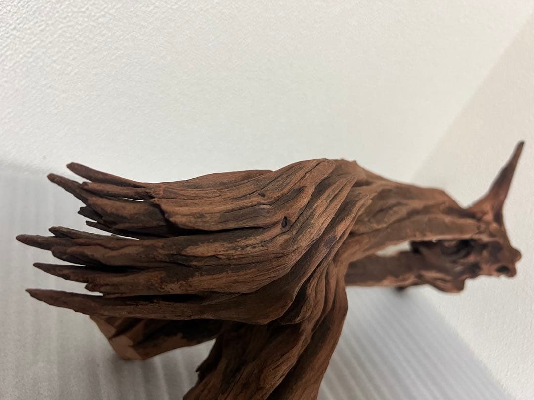 HX-081 流木 ホーンウッド マシンガンウッド アクアリウム ブランチ