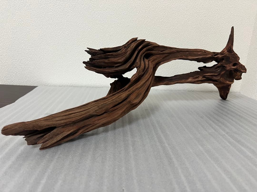 HX-081 流木 ホーンウッド マシンガンウッド アクアリウム ブランチ