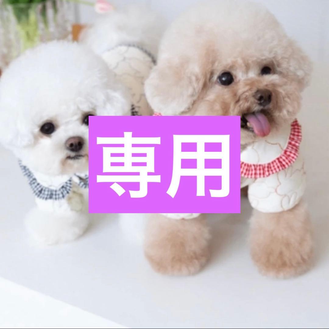 進化系✨スパッと快適に切れる✨カーブシザートリミングシザートリマー