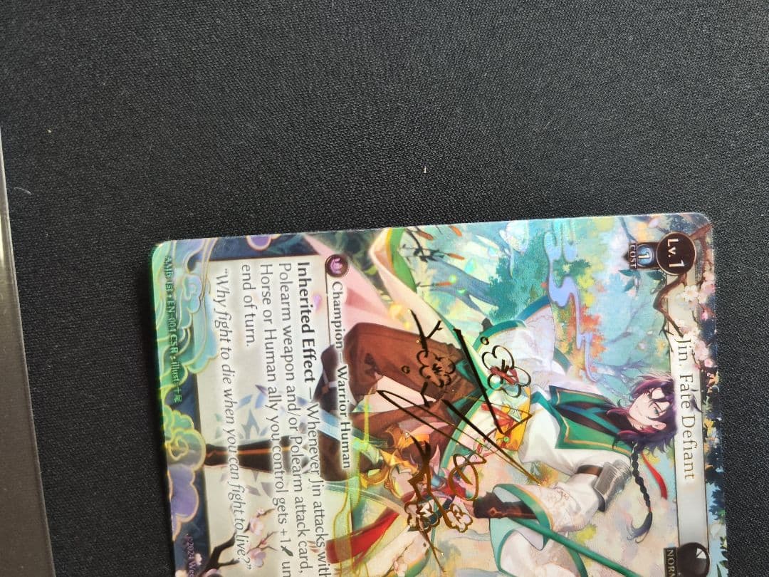 ★ レインさん専用出品 ★　Arisanna + Jin CSR