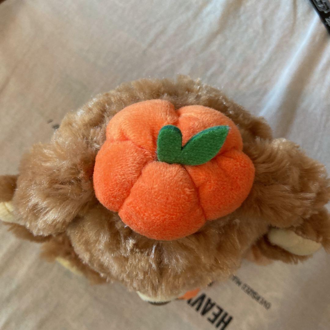 ぬいぐるみ ユニベアシティ ディズニー 小物入れ φ8x5 カボチャ