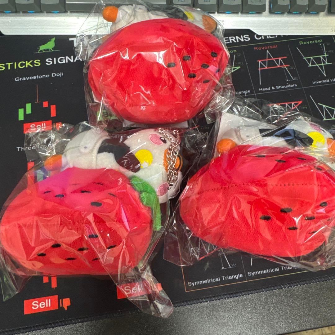 2PM JUNHO ジュノ ボアフーディーなど 公式グッズ　イジュノセット5万円