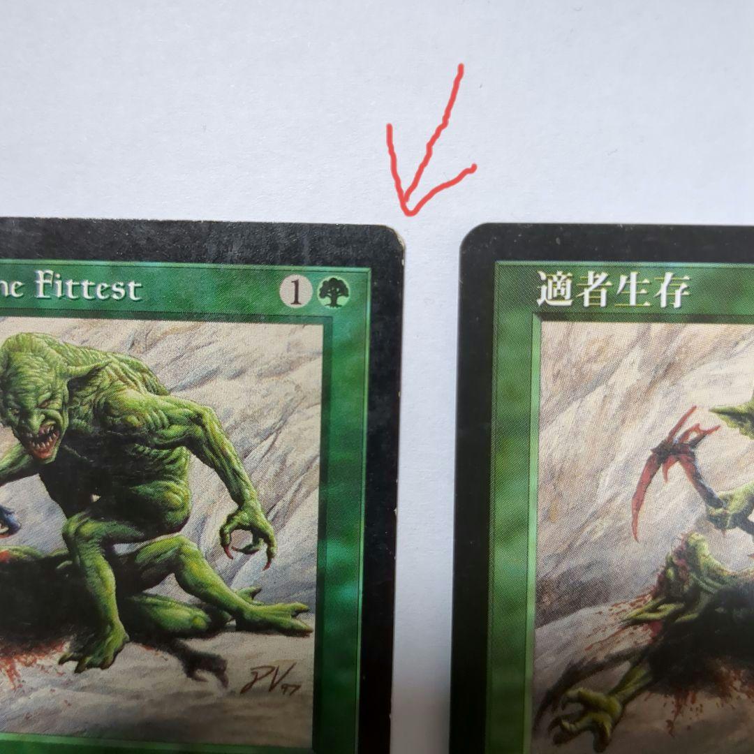 MTG 適者生存（２枚セット）　英語版２枚