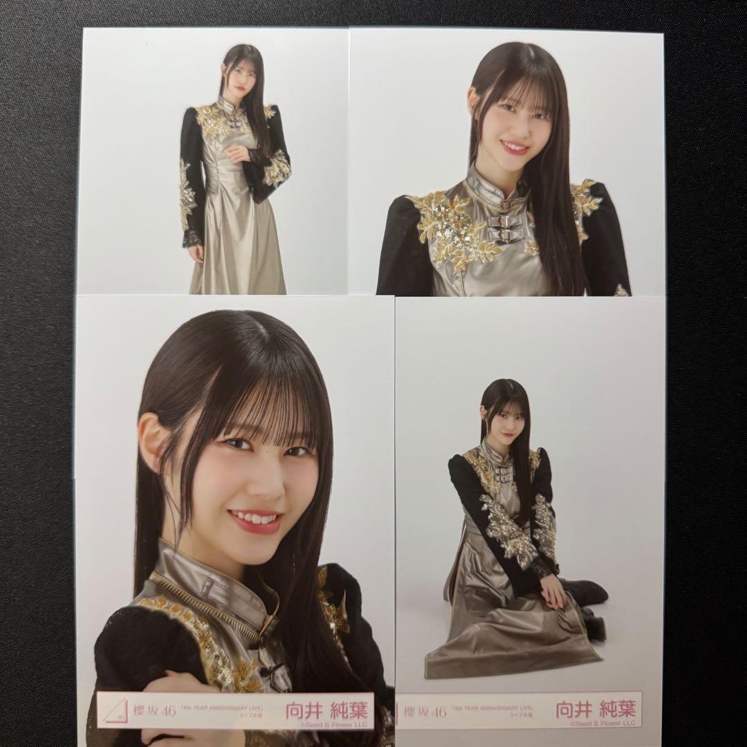 櫻坂46 向井純葉直筆生写真4th YEAR ANNIVERSARY ライブ