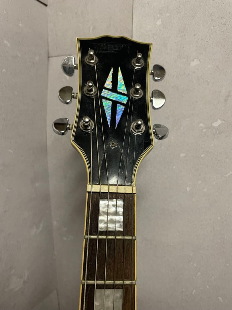 か*お様 レスポール エレキギター ブランド不明 ソフトケース付き