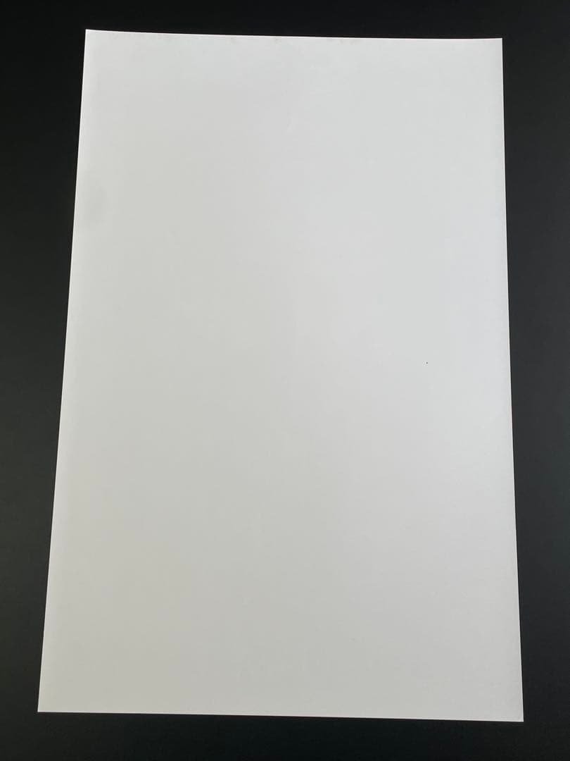 RWBY 直筆サイン入りポスター　JSA認定書付き　②