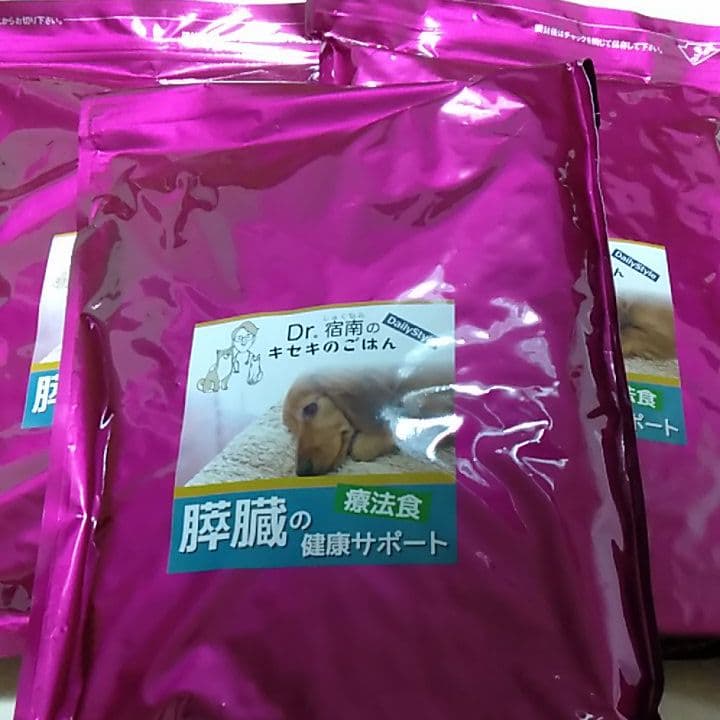 文化服装学院 BUNKA ミニトルソー ボディ ベージュ