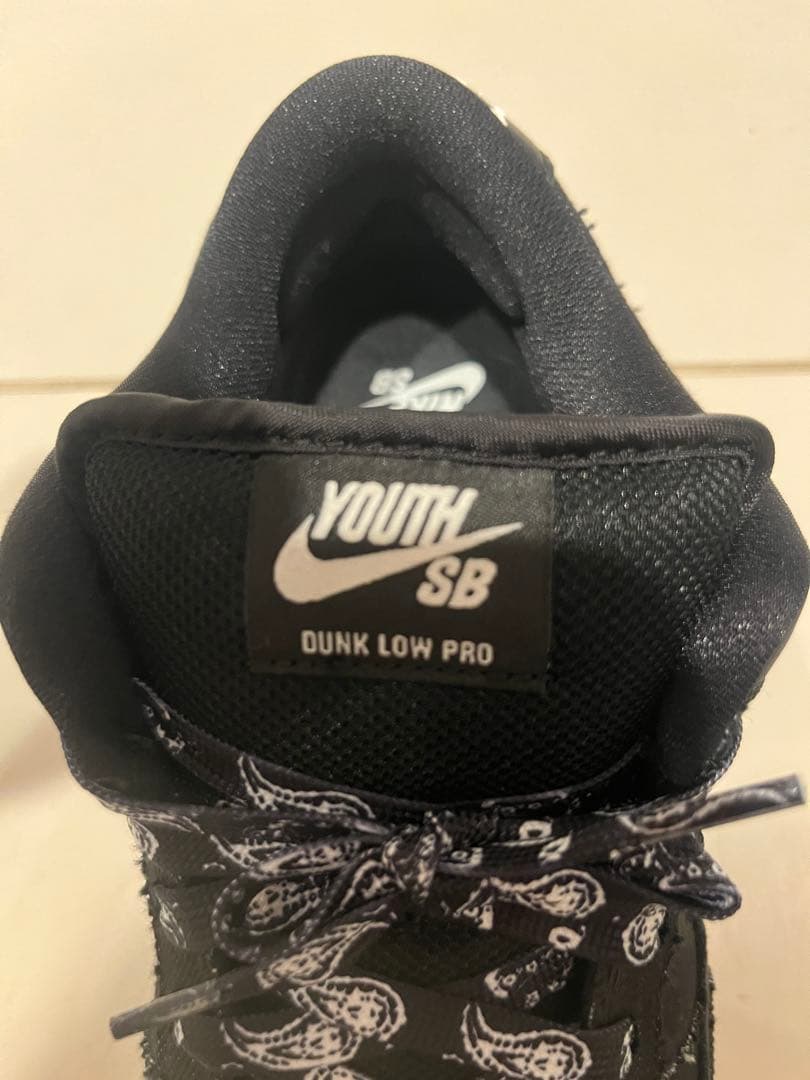 Wasted Youth × Nike SB Dunk Low 26cm