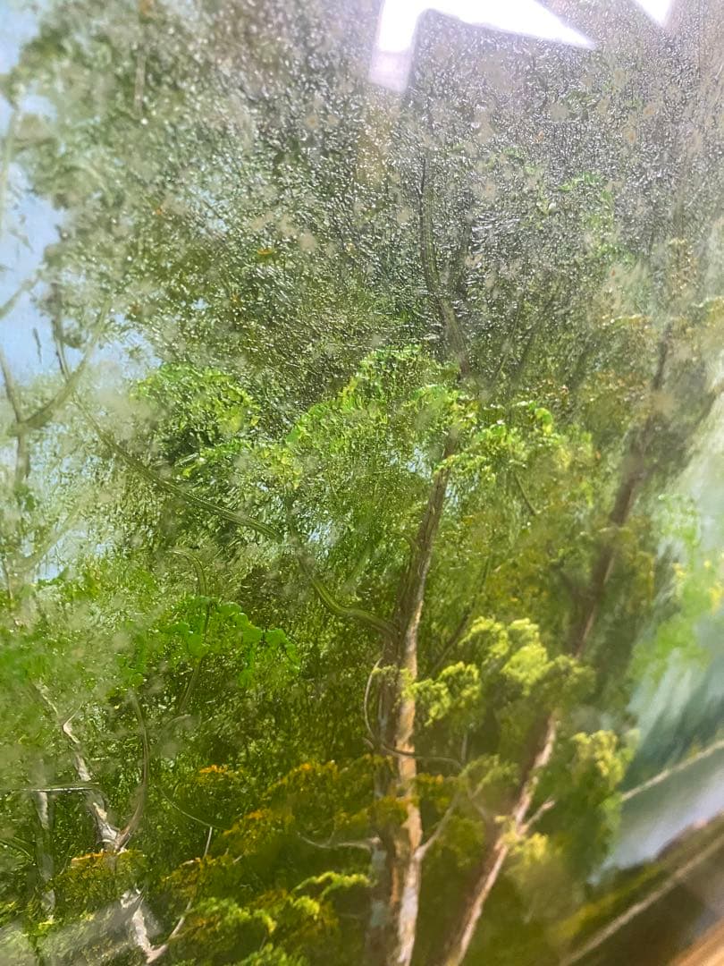 油絵　工芸品　絵画