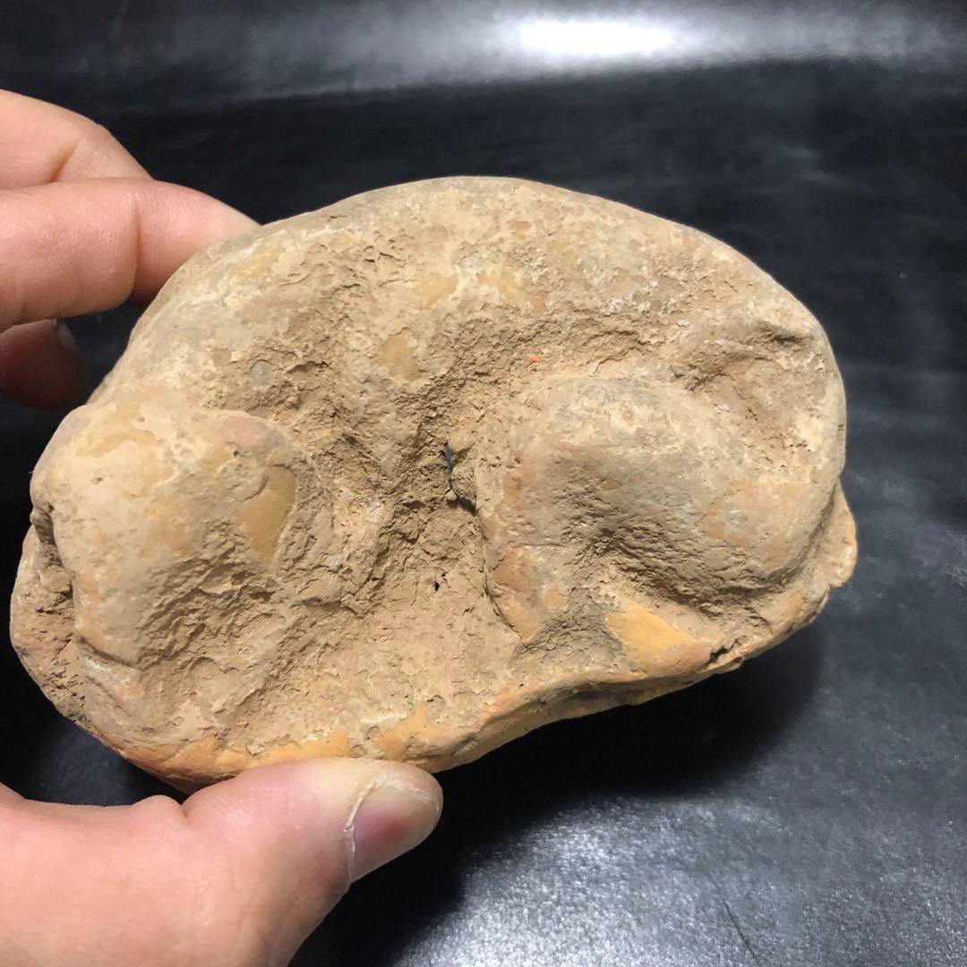 蔵から中国古銭と一緒の箱から出てきた 5体の内