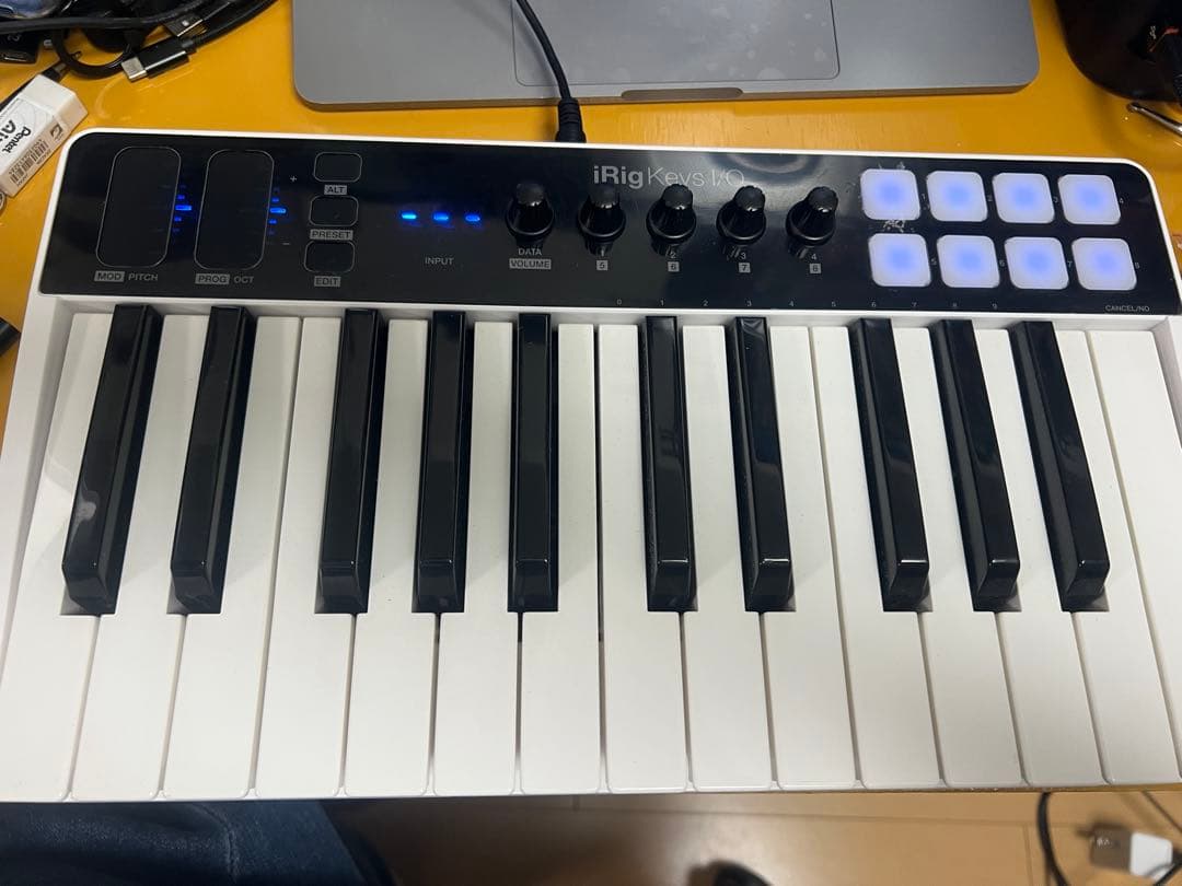 iRig Keys I/O 25 ケーブル2種類 IK Multimedia / iRig Keys I/O 25 | DiGiRECO