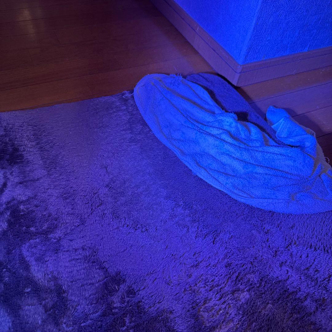 GrassyLeDiorX122 RF E26ソケットライト - ライト・照明器具最低 価格