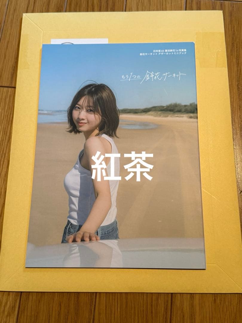 日向坂46 富田鈴花 アザーカット写真集 もう1つの鈴花サーキット 500冊
