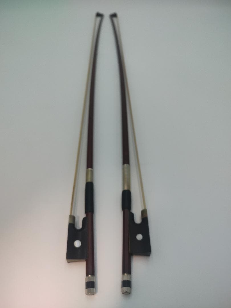 CARLO GIORDANO VS-2 4/4サイズ バイオリン 本体+弓2本