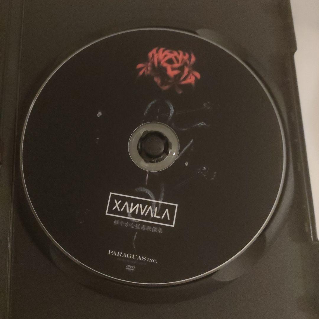 ★激レア★XANVALA/鮮やかな猛毒映像集　DVD