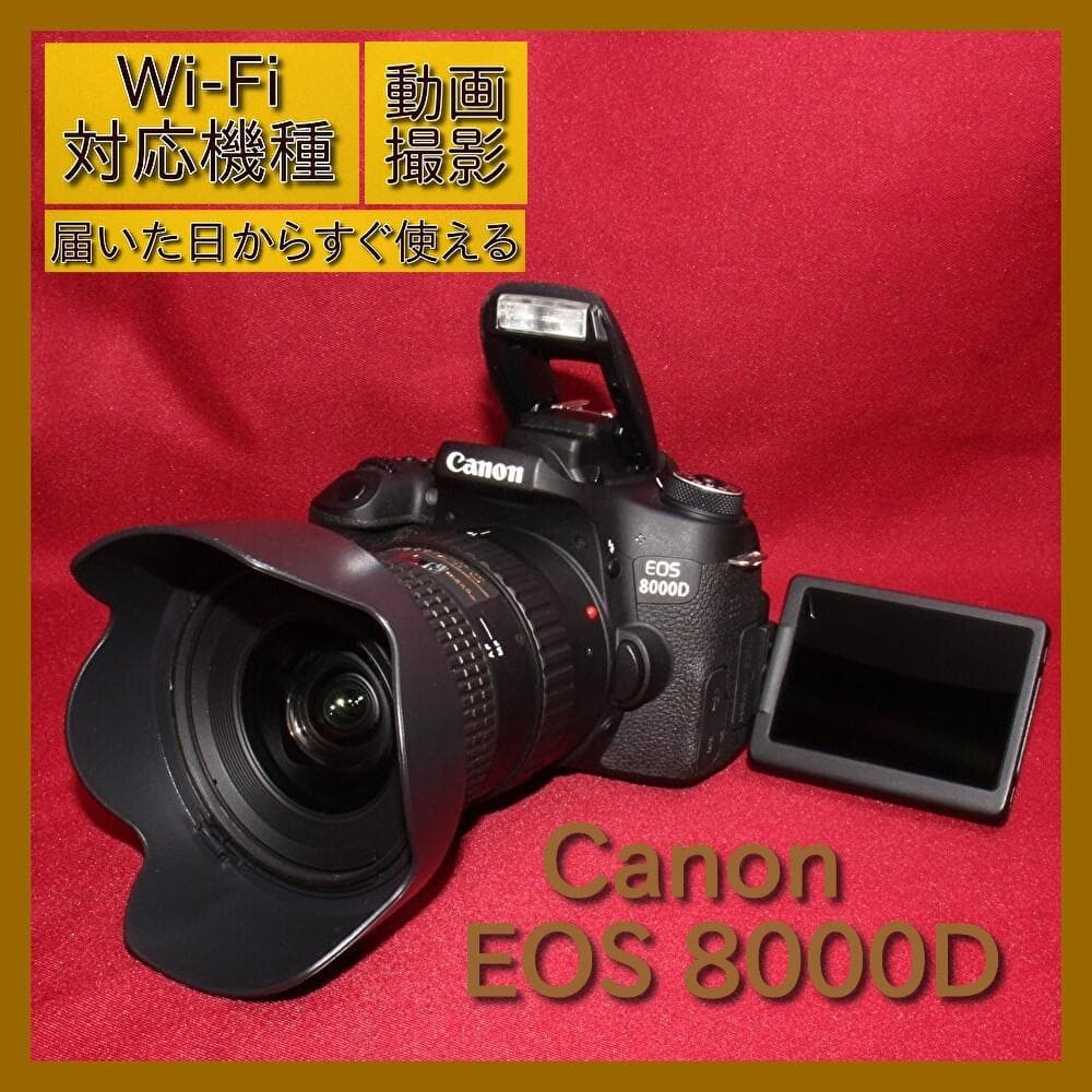 ✨Wi-Fi搭載機種✨Canon EOS 8000D 超広角レンズセット✨ - メルカリ