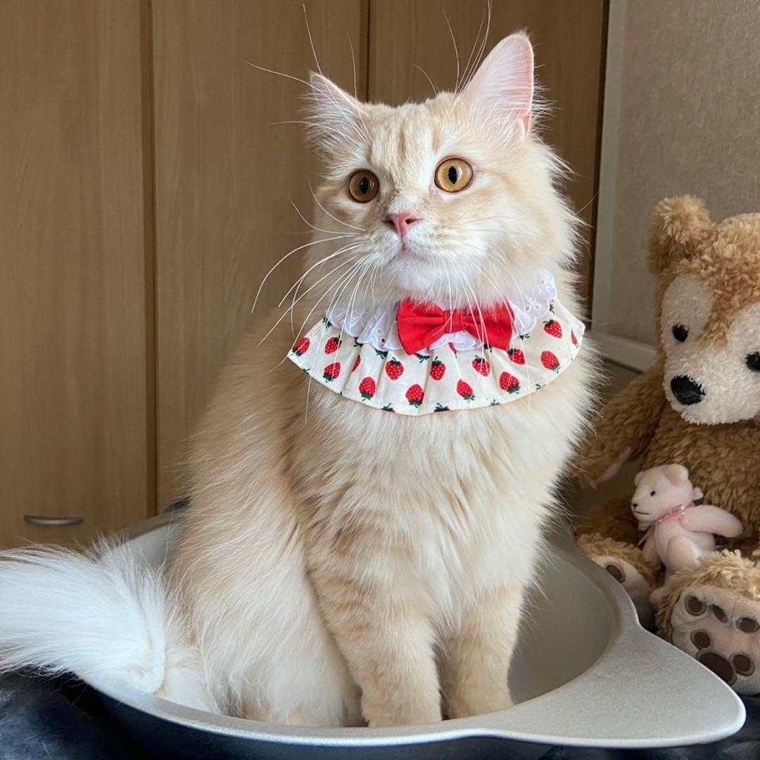 フレアスタイ(ギンガムチェック ハート柄 ピンク) No．163-680