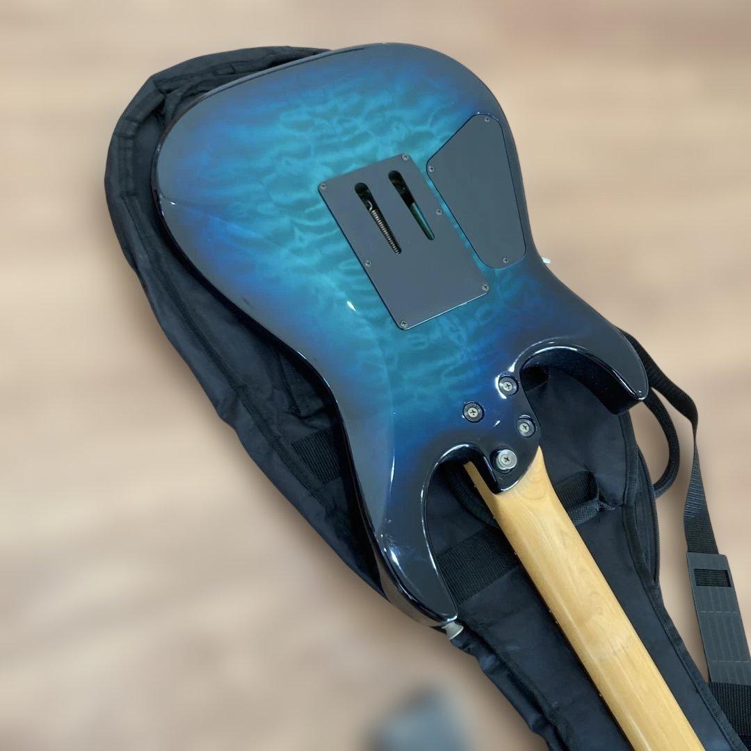 最終値下げ☆ジャパンビンテージ フェルナンデス 純正ソフトケース