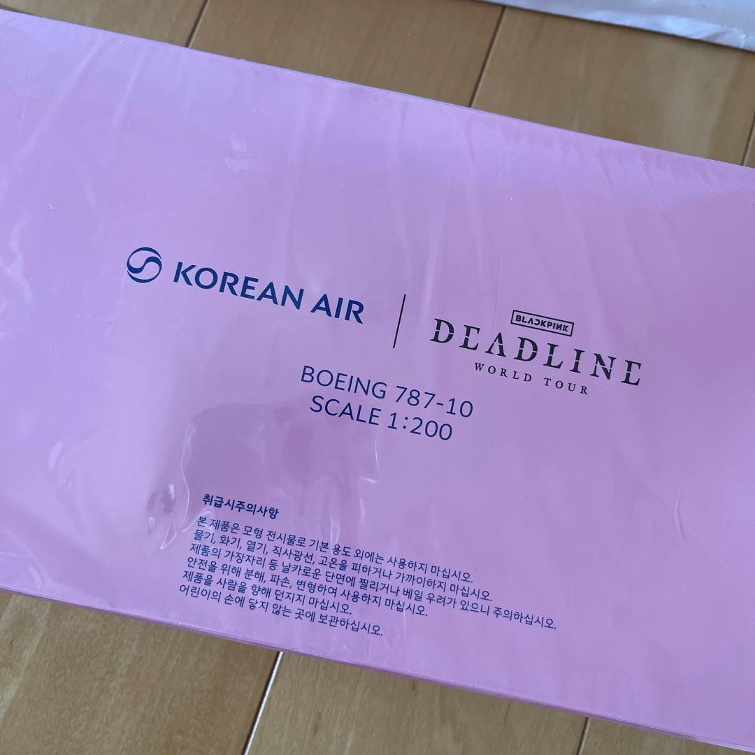 非売品/当選品】BLACKPINK 大韓航空 特別塗装機 モデルプレーン 模型