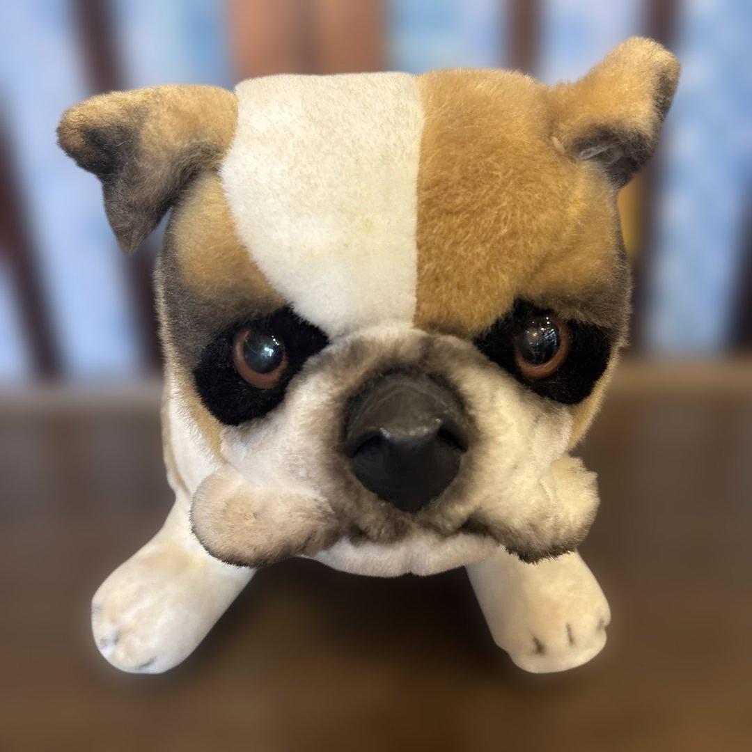 シュタイフ ブルドッグ　Snobby