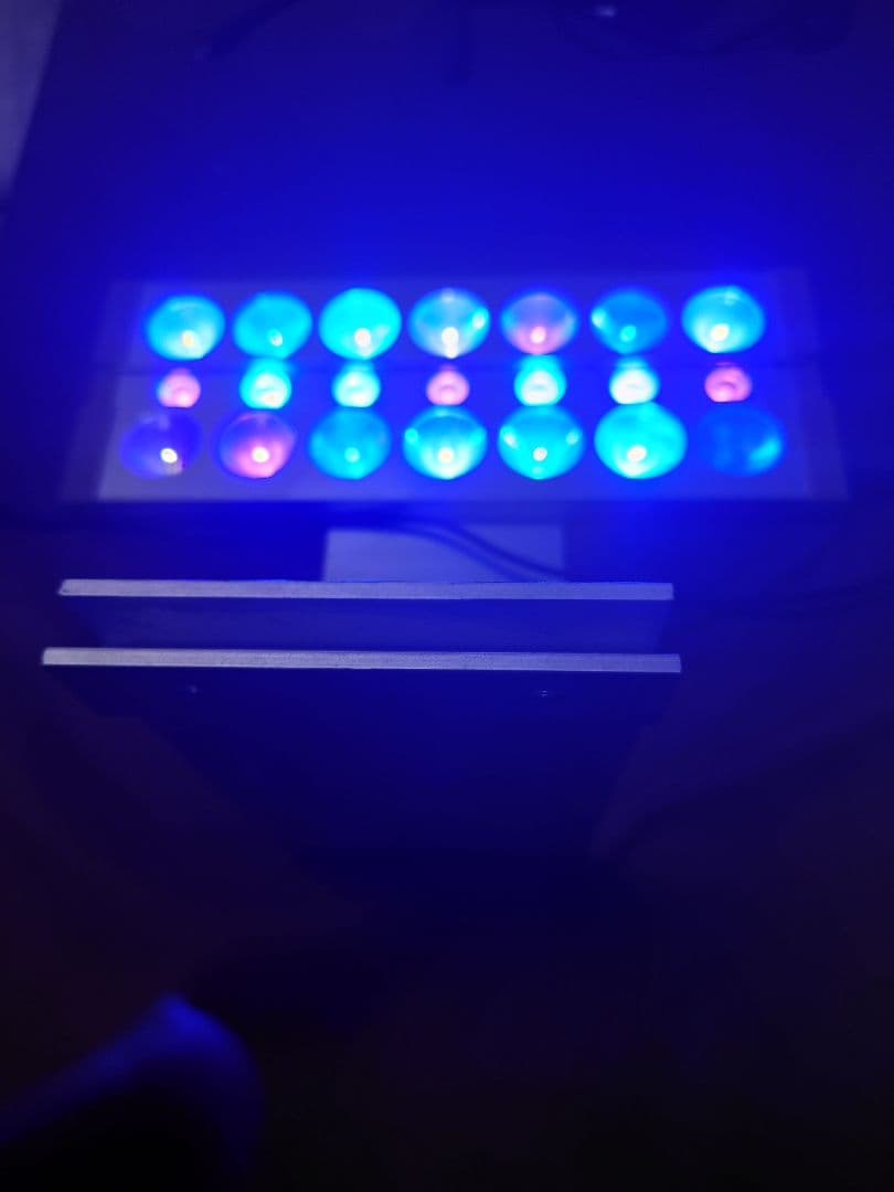 オーバーフロー水槽セット クーラー LED ポンプ ヒーター