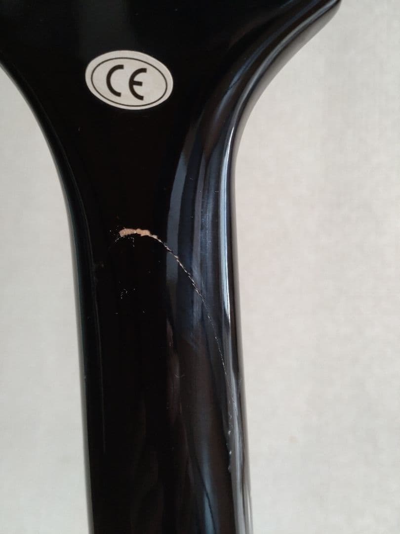 エピフォン　ファイヤーバード