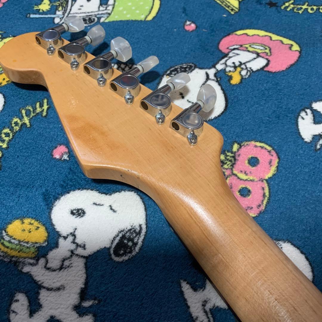 コンポーネント　ノンフロイド　ルカサー　ストラト