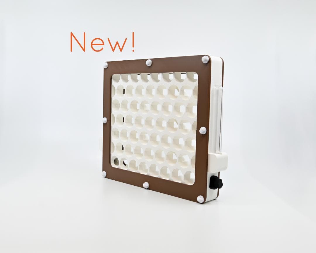 極美展足】Diabroctis mirabilisダイコクコガネ 22mm♂フ