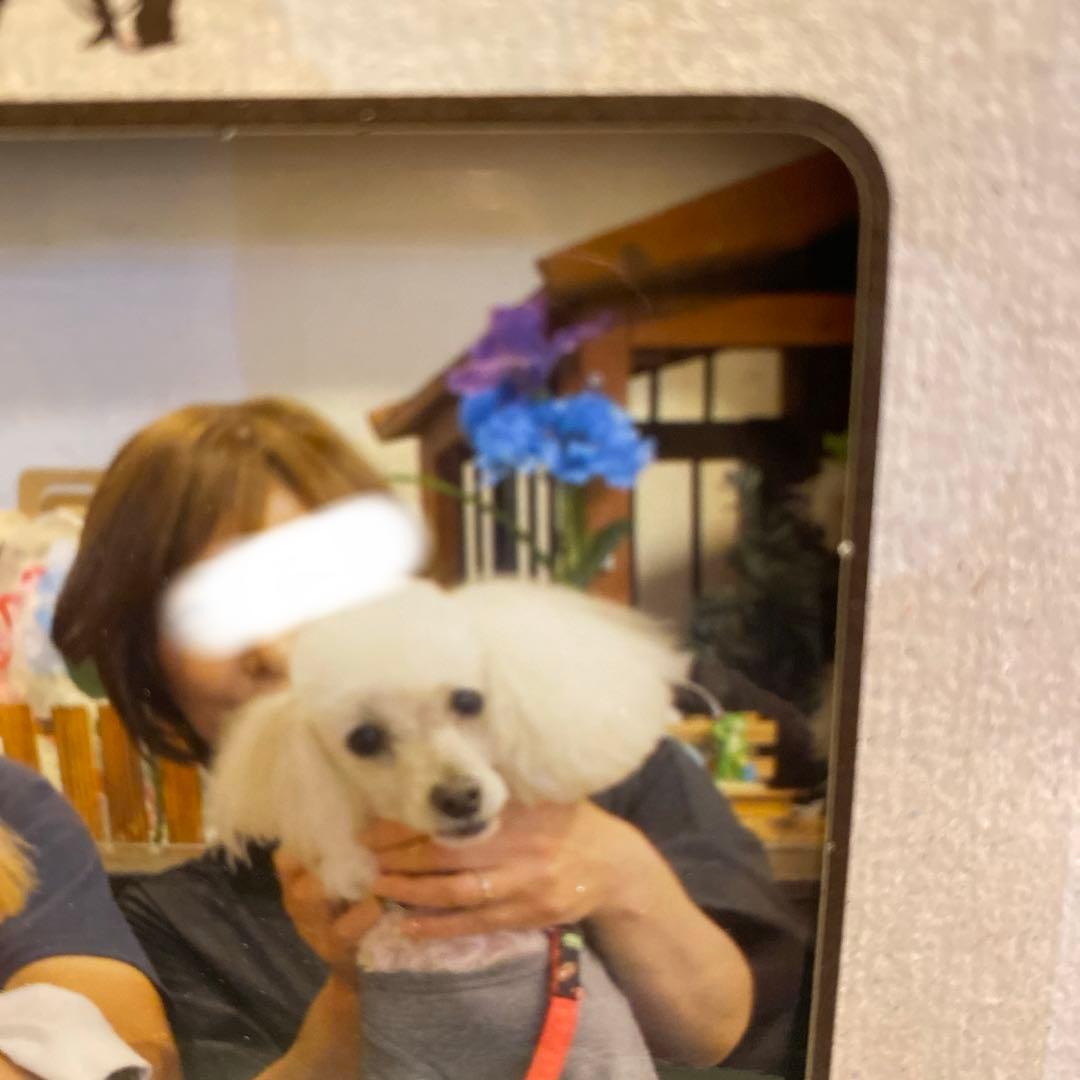 大幅値下げ‼️10万以上が70％以上オフ‼️ボブフルウィッグ(人毛、人工毛ミックス)