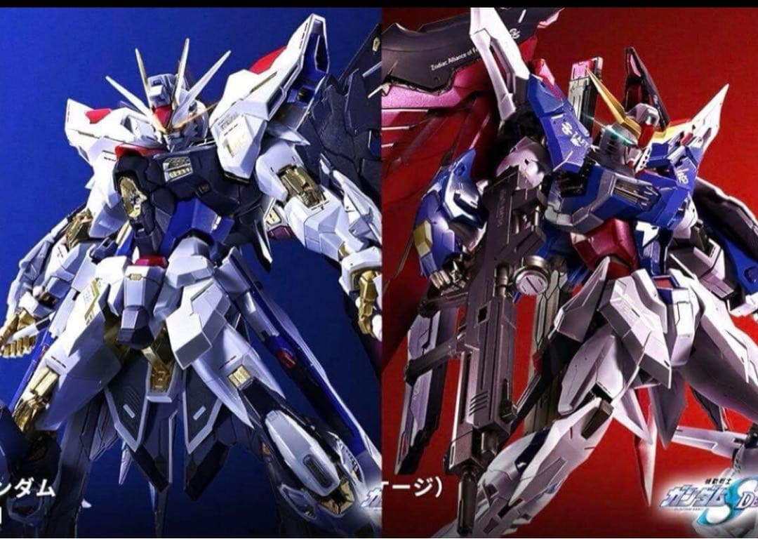 METAL BUILD ストライクフリーダムガンダム [METAL BUILD FESTIVAL